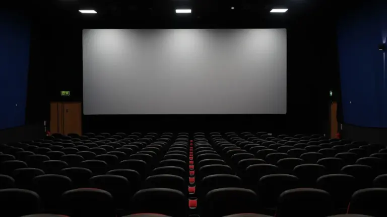 Alytuje – „Šunyčių patrulių“ nuotykiai: seansas kino teatre