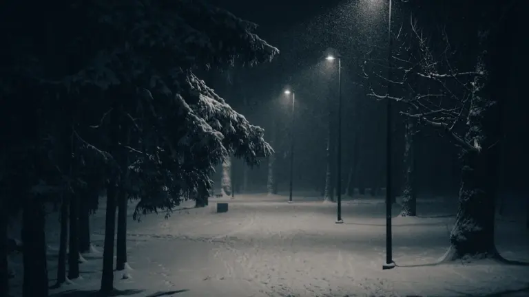 Sninganti žiemos naktis Vilniaus parke su šviečiančiais gatvių žibintais, kviečianti pasivaikščioti.