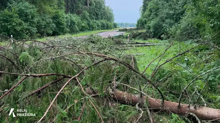 Lietuvos keliuose – vėjo kliūtys: kur būti atsargiems