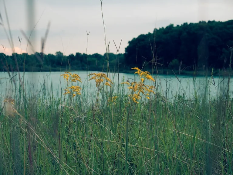 Maudynės rugpjūčio 17-ąją: pirmiausia tikrinkite datą