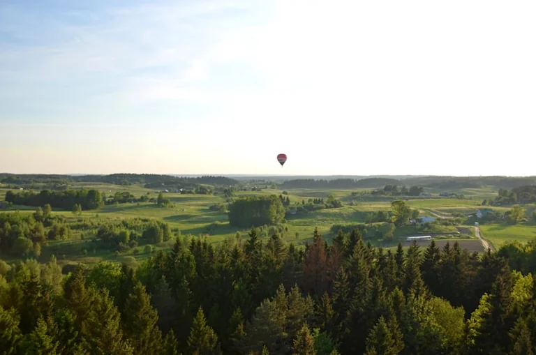 Vilnius ties 30 °C riba: ar ji bus pasiekta iki rugpjūčio 31 d.?