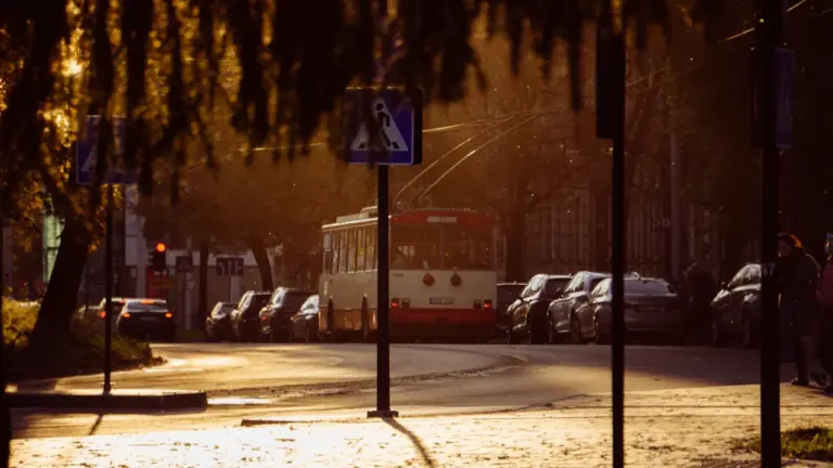 Žolinė Vilniuje: prieš išvykdami patikrinkite konkretų reisą