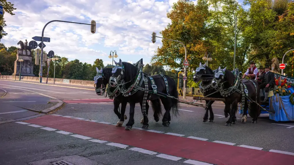 Žolinės „Royal Horse Resort“ prie Alytaus: kaina – 45 Eur