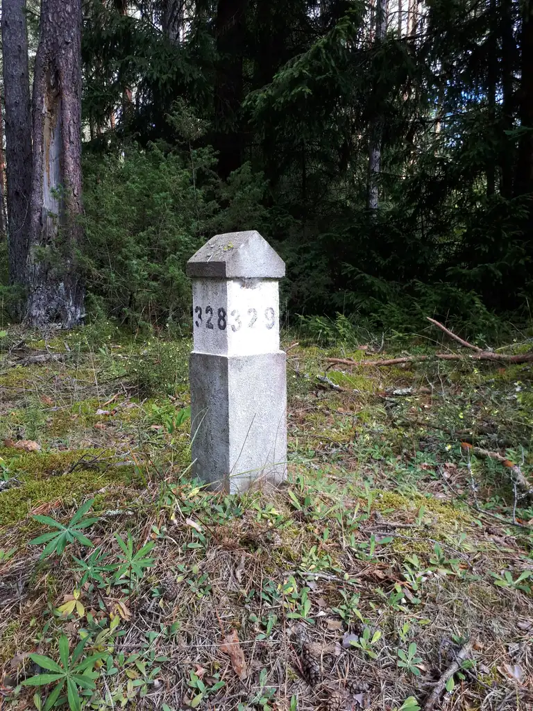 Pasiklydus Lietuvos miške: ko nedaryti pirmiausia